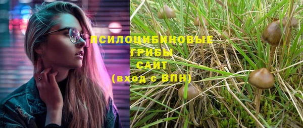 эйфоретик Балахна