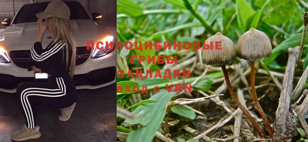 прущая мука Балабаново